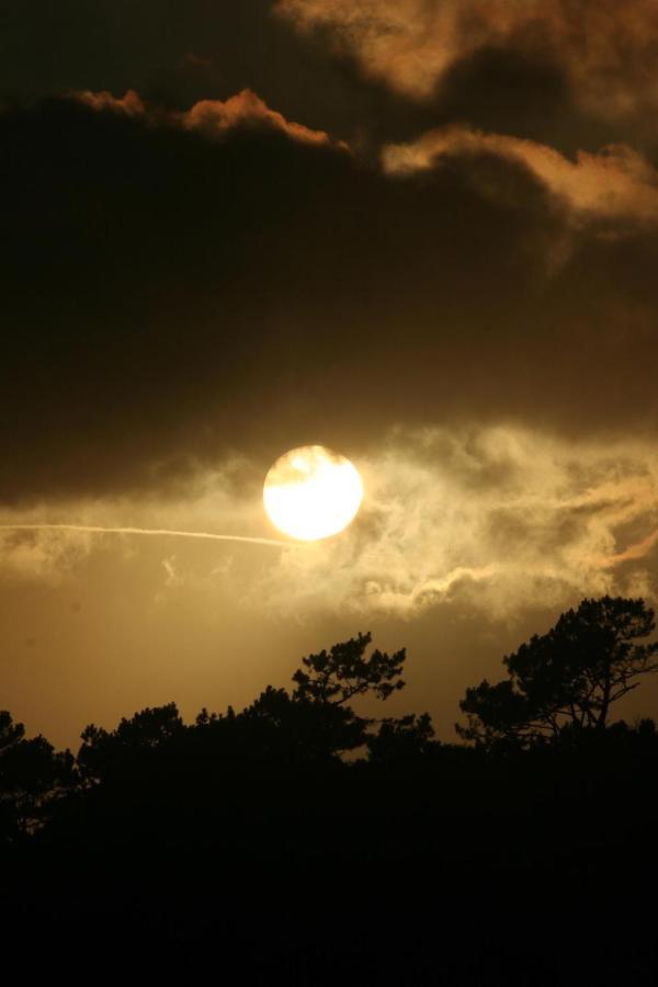 Holiday home Dream By The Sea Madalena (Azores)